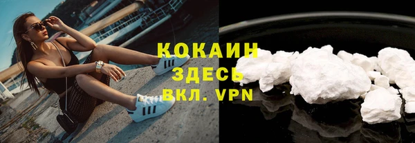дмт Тобольск