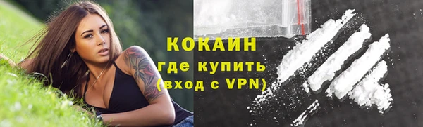 дмт Тобольск
