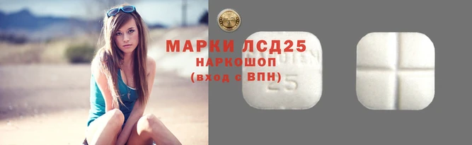 амф Дмитриев