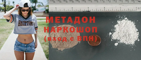 амф Дмитриев