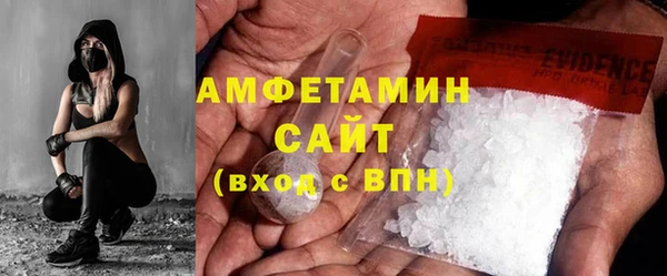 амф Дмитриев