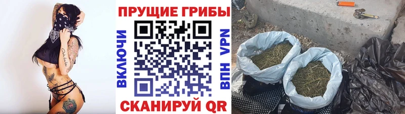 Галлюциногенные грибы мухоморы Купить закладки Наволоки